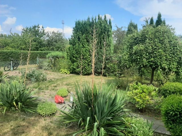 Działka rod Polkowice, ul. Ogrodowa. Zdjęcie 1