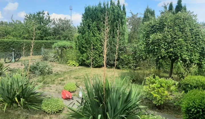 Działka rod Polkowice, ul. Ogrodowa