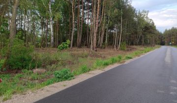 Działka Kiciny