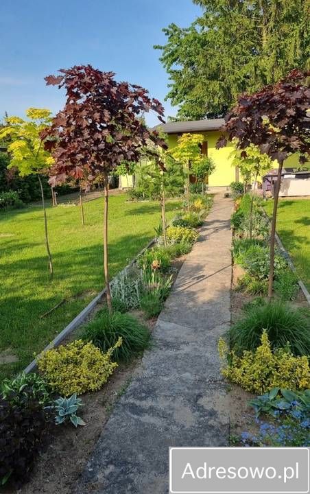 Działka rod Chełmno