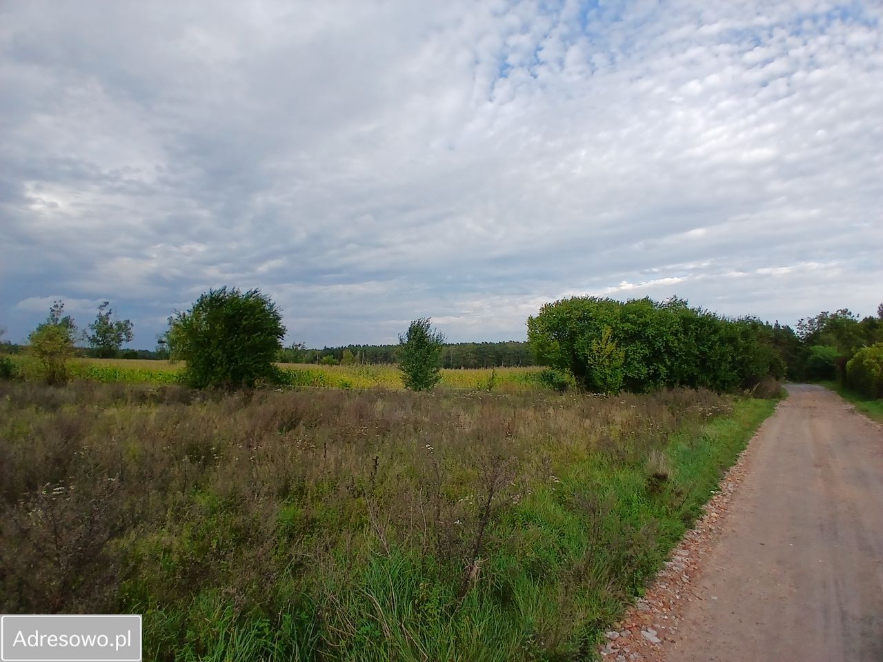 Działka rolno-budowlana Mosina