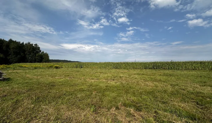 Działka rolno-budowlana Mosty, ul. Konwaliowa