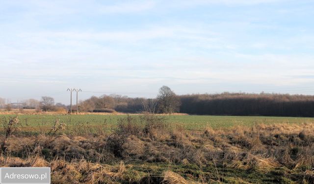 Działka rolna Kotowice. Zdjęcie 1