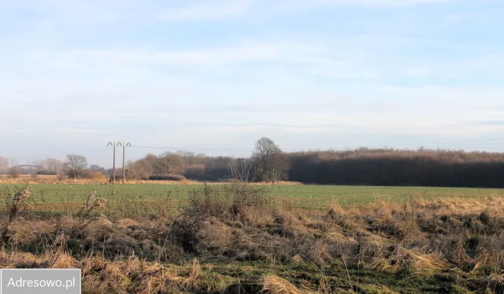 Działka rolna Kotowice