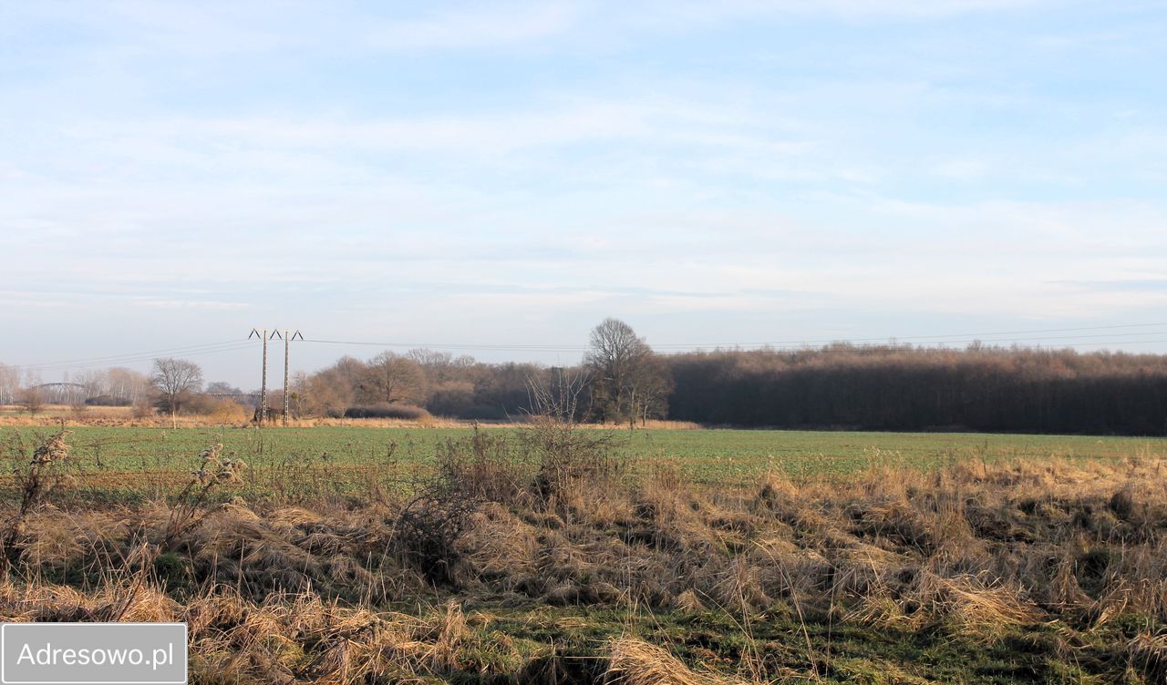 Działka rolna Kotowice. Zdjęcie 1