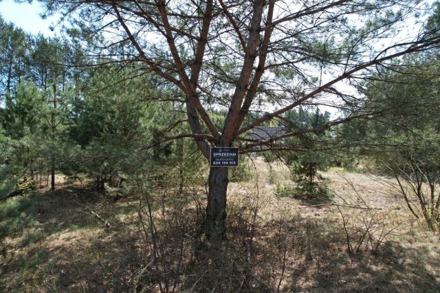 Działka rekreacyjna Dzbądzek. Zdjęcie 26