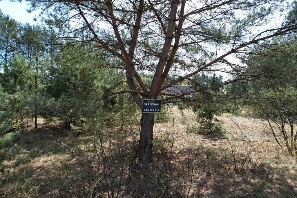 Działka rekreacyjna Dzbądzek. Zdjęcie 26