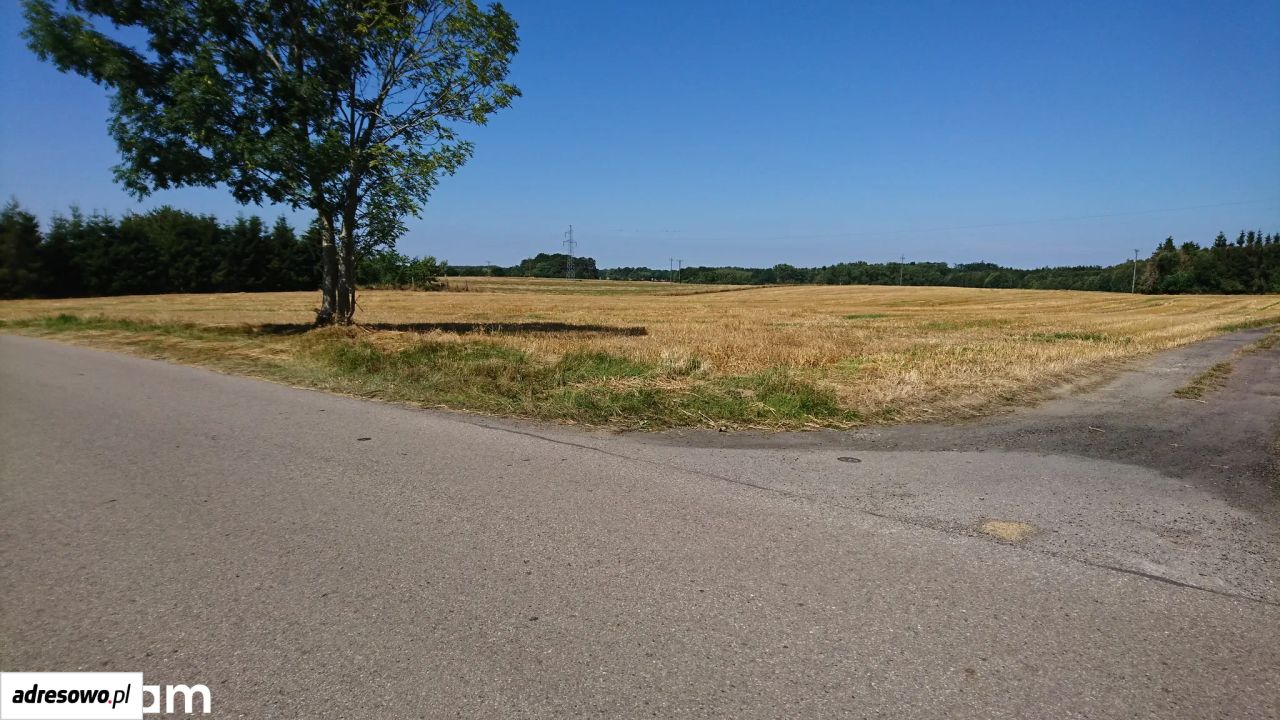 Działka siedliskowa Stramniczka. Zdjęcie 6