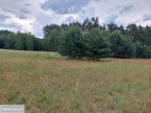 Działka budowlana Krzywa Góra. Zdjęcie 1