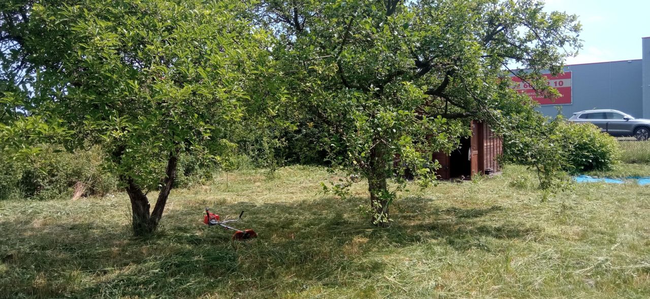 Działka rod Wrocław Psie Pole, ul. Bierutowska. Zdjęcie 2