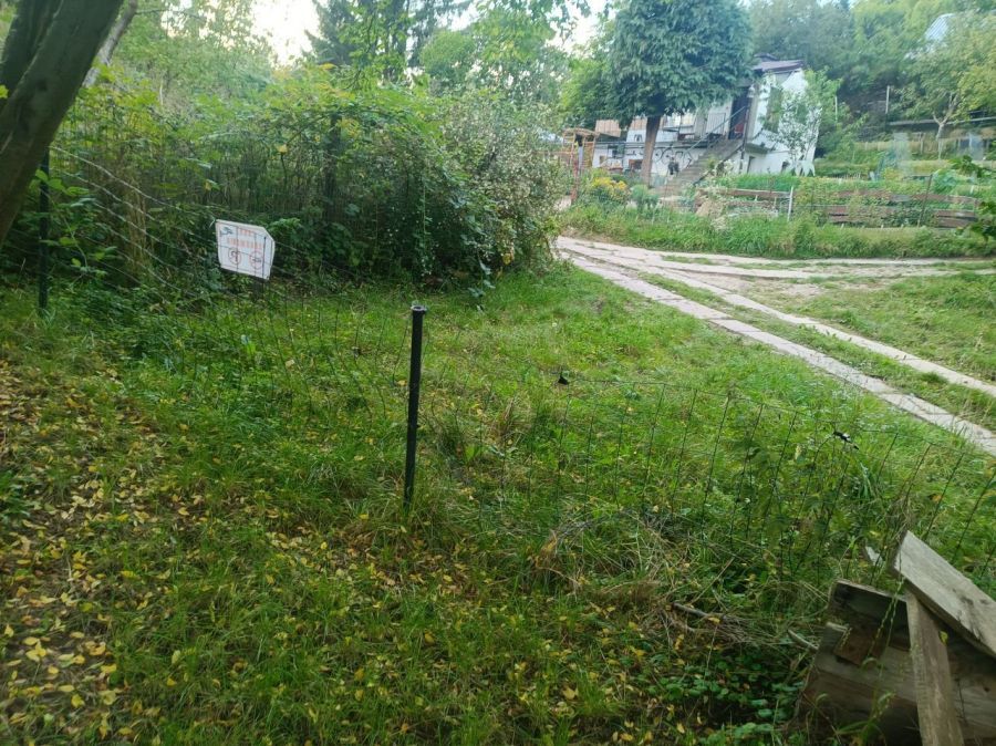 Działka rod Gdańsk Matarnia, ul. mjr. Mieczysława Słabego. Zdjęcie 4