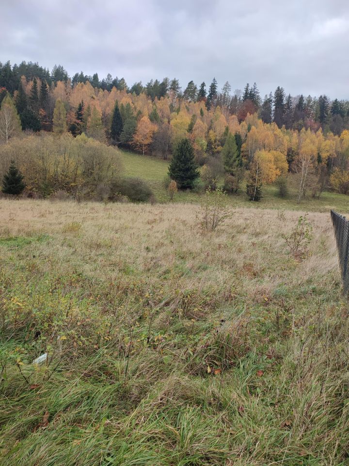 Działka budowlana Kamienna. Zdjęcie 3