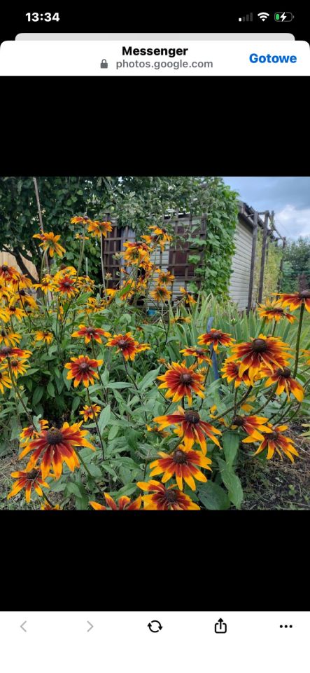 Działka rod Augustów, Przemysłowa. Zdjęcie 1