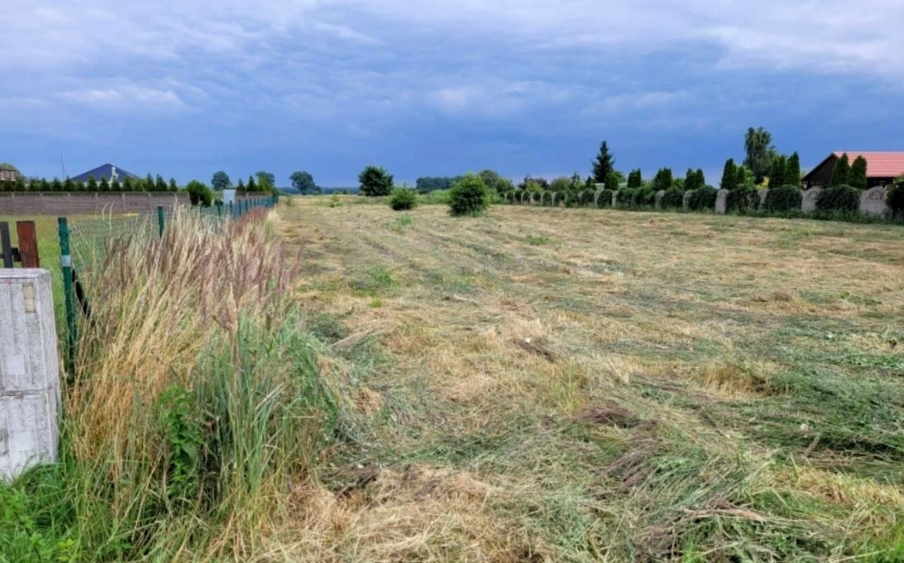 Działka rolna Lubczyna. Zdjęcie 1
