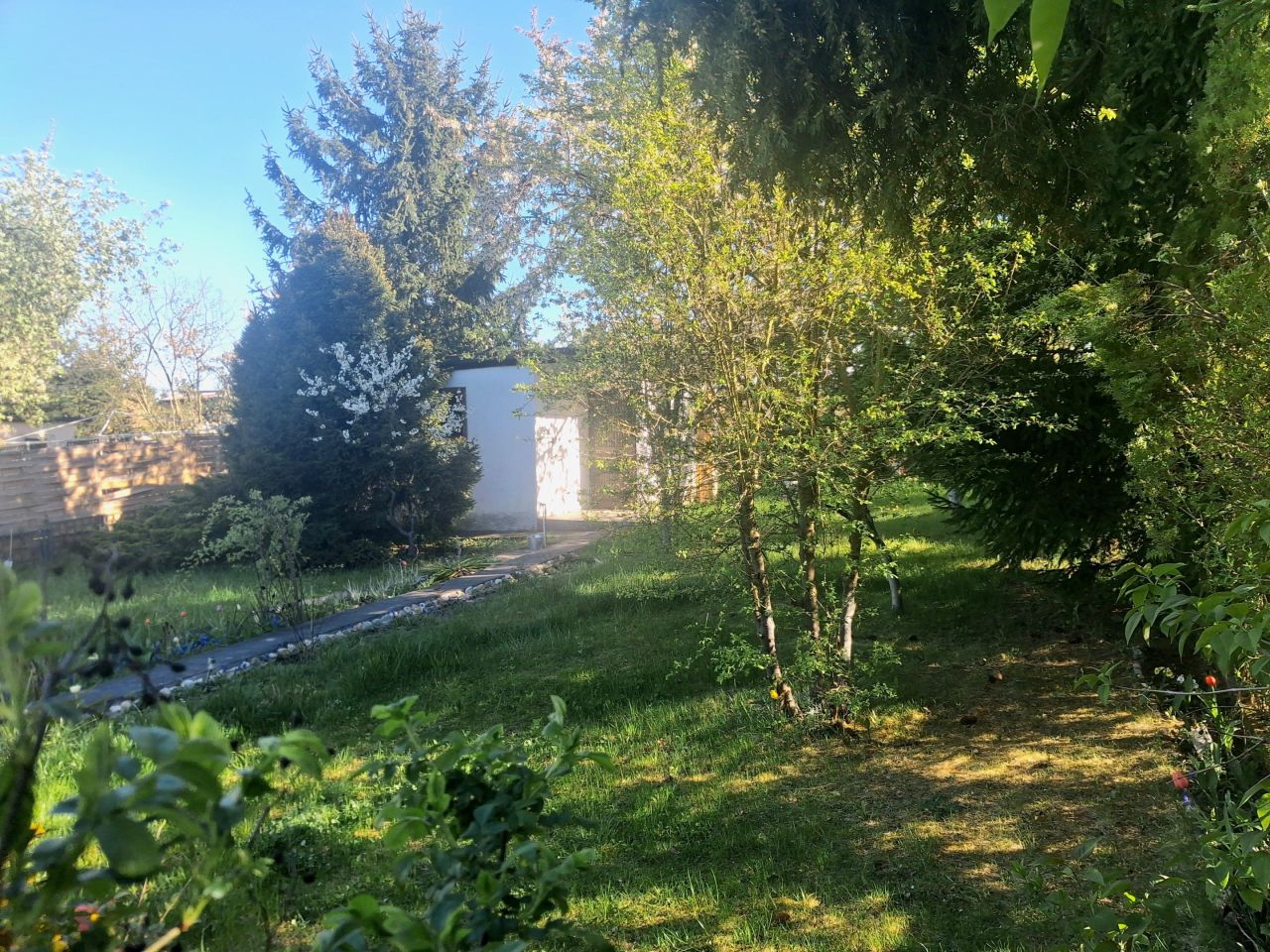 Działka rekreacyjna Lubin, Rod lubczyk. Zdjęcie 9