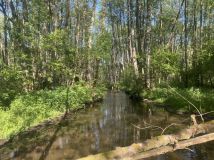 Działka rolna Miastko. Zdjęcie 4