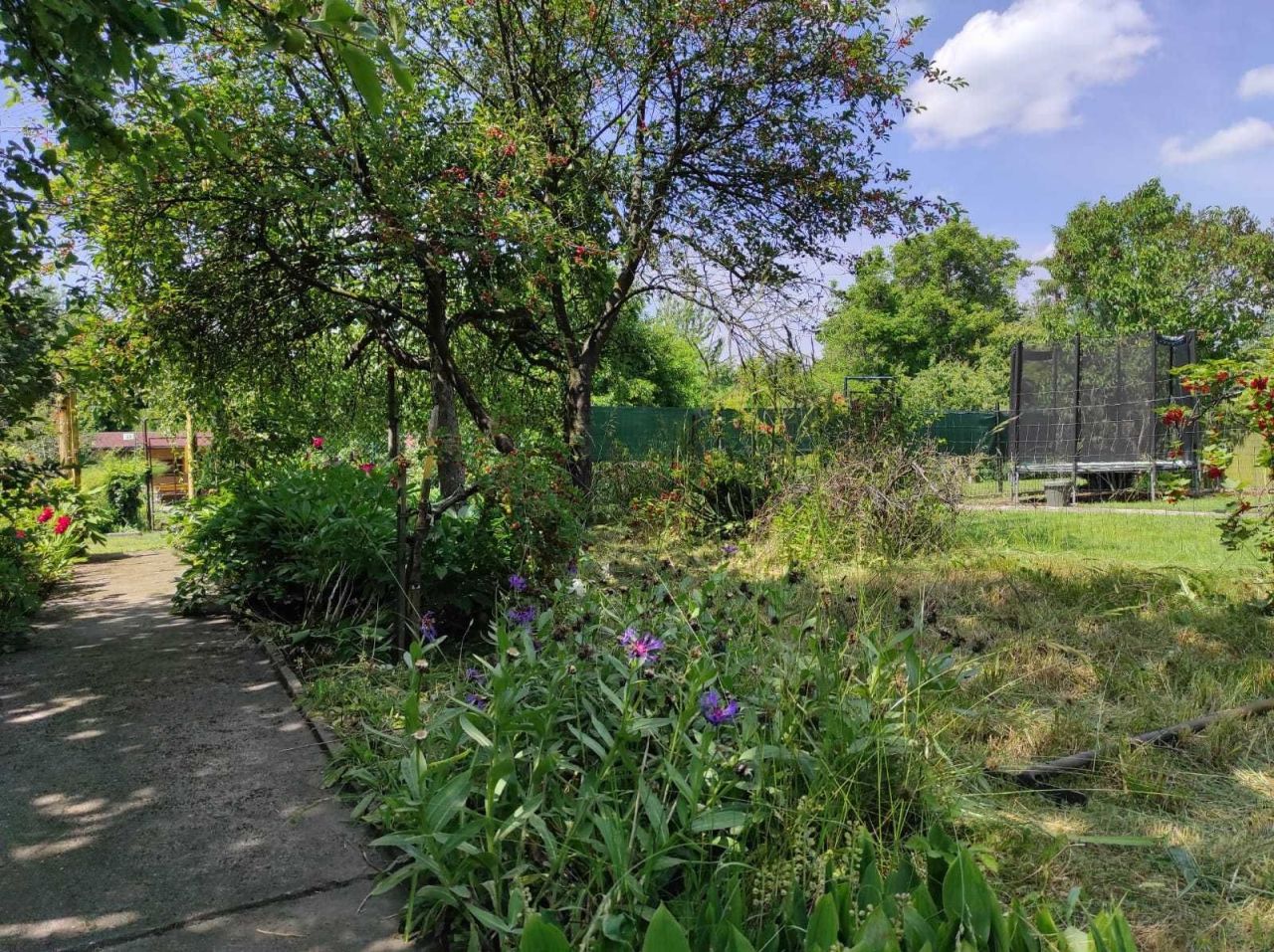 Działka rod Gliwice Trynek, ul. Stanisława Wyspiańskiego. Zdjęcie 2