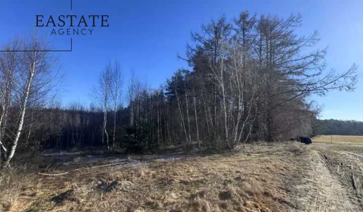 Działka inwestycyjna Pierwoszyno, ul. Jabłoniowa