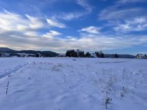 Działka rolna Łętownia. Zdjęcie 1