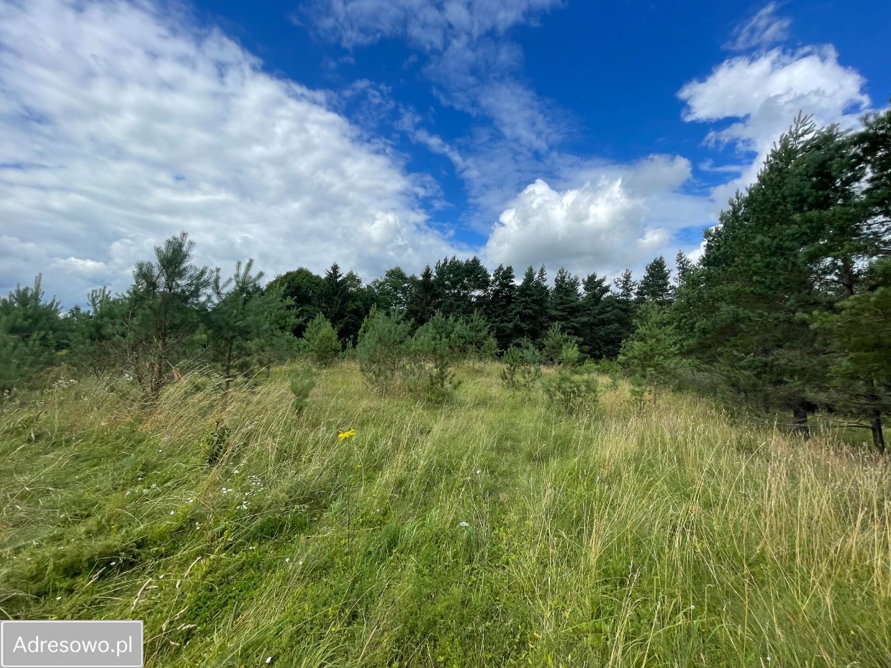 Działka budowlana Bakałarzewo, ul. Bulwar 500-lecia Bakałarzewa. Zdjęcie 7