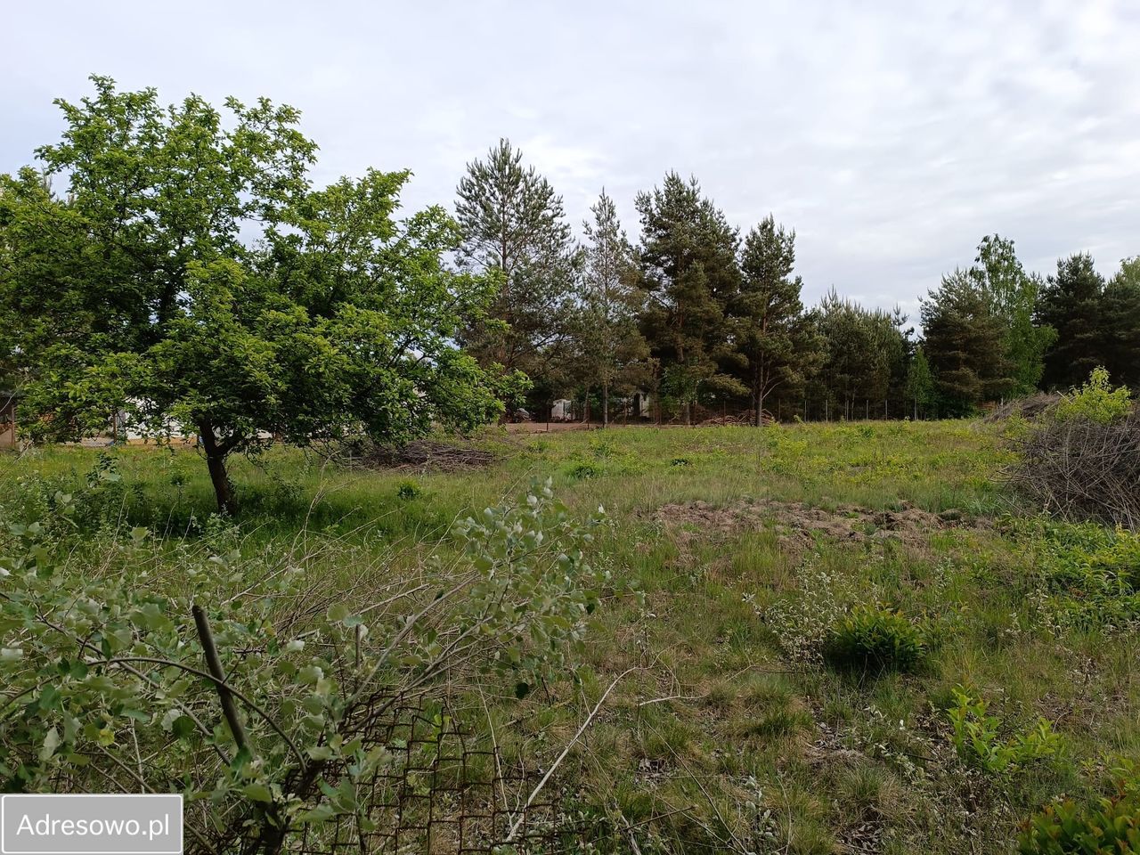 Działka budowlana Mieszkowo, ul. Szklarniowa. Zdjęcie 8