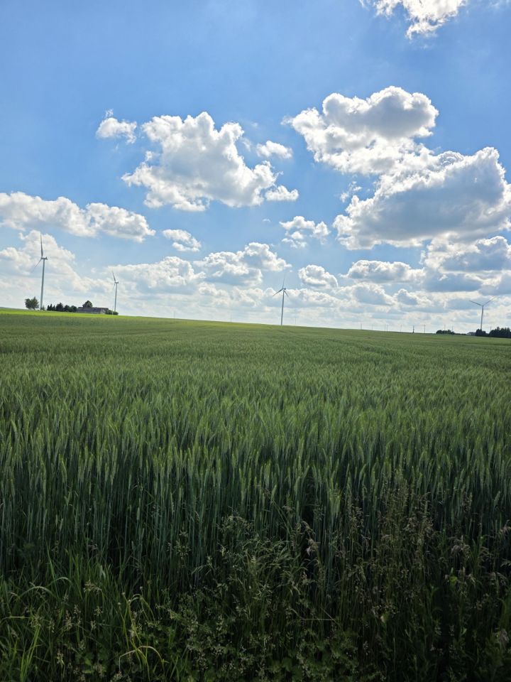 Działka rolno-budowlana Łowinia. Zdjęcie 3