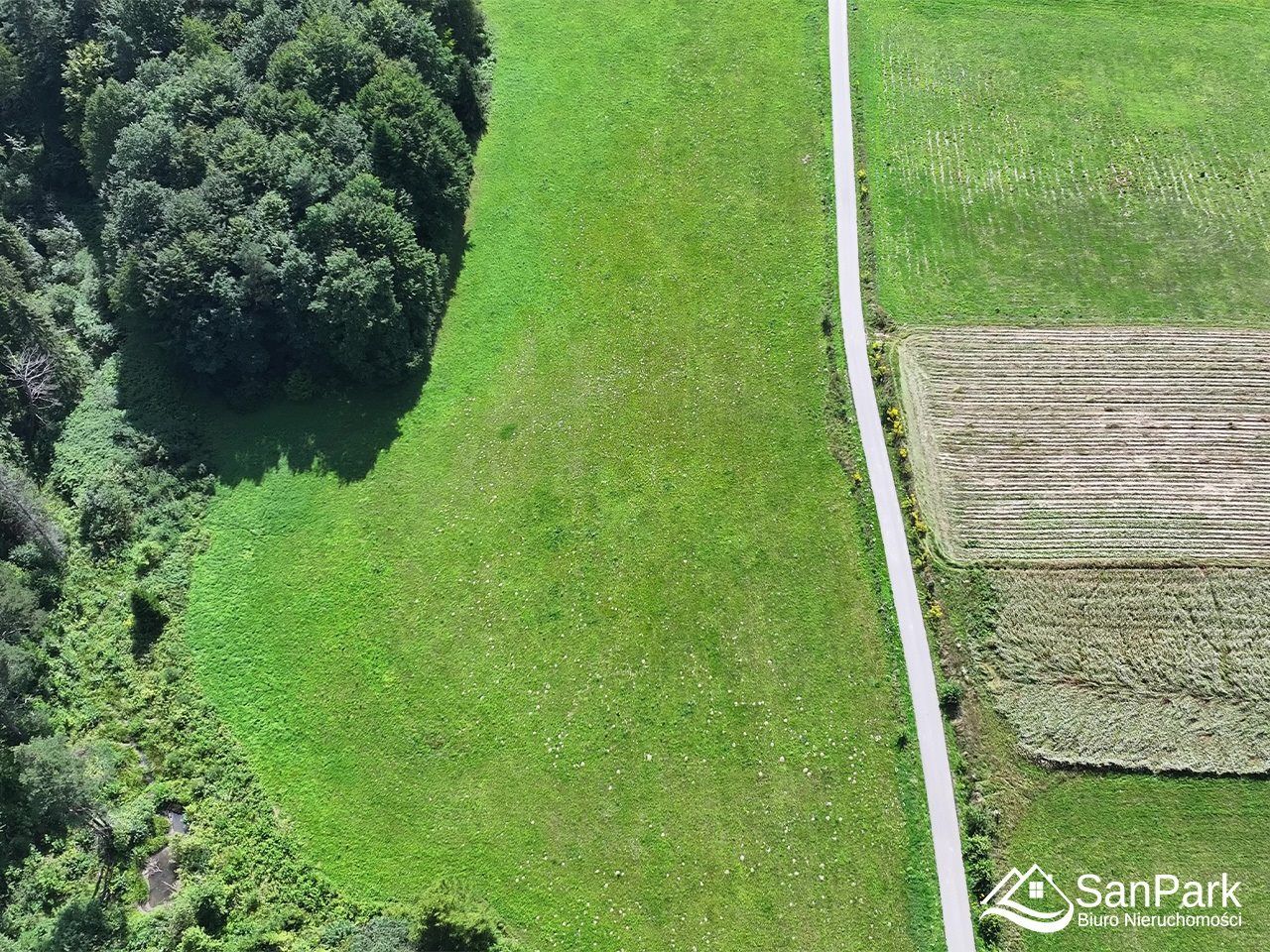 Działka rolna Berezka. Zdjęcie 8