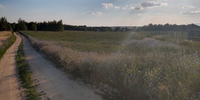 Działka budowlana Witków Witkówek. Zdjęcie 1