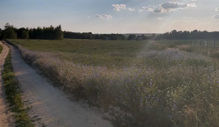 Działka budowlana Witków Witkówek