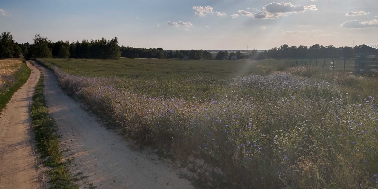 Działka budowlana Witków Witkówek. Zdjęcie 1