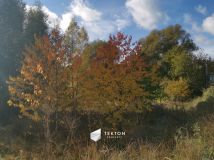 Działka inwestycyjna Borkowo, ul. Nasza. Zdjęcie 4