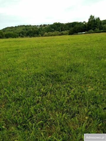 Działka rolna Wieża. Zdjęcie 1