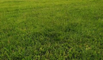 Działka rolna Wieża