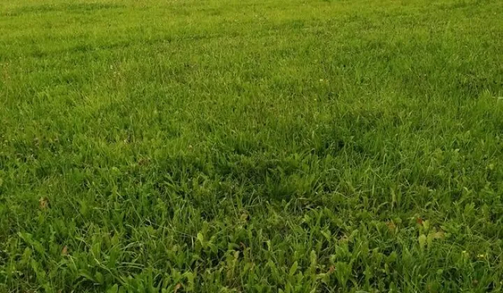 Działka rolna Wieża