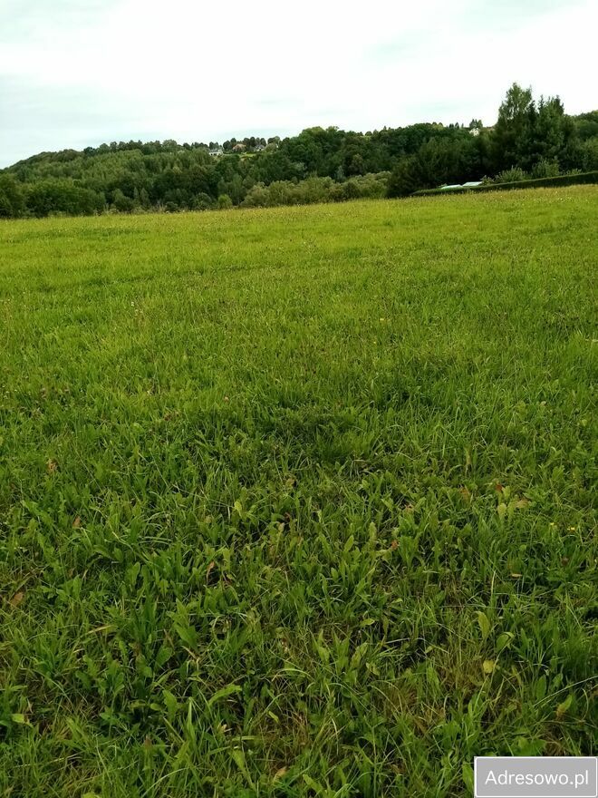 Działka rolna Wieża