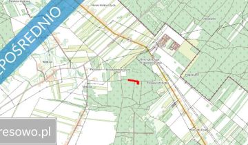 Działka leśna Terlików