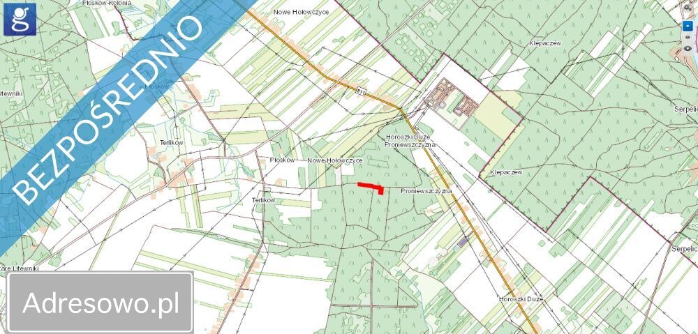 Działka leśna Terlików. Zdjęcie 2