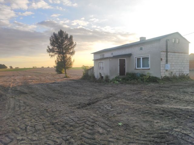 dom wolnostojący Teodorów Wielki. Zdjęcie 1