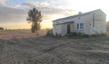 dom wolnostojący Teodorów Wielki