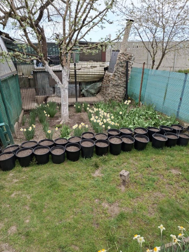 Działka rod Słupsk. Zdjęcie 4