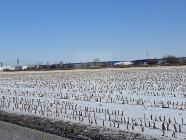 Działka inwestycyjna Błonie, ul. Sochaczewska. Zdjęcie 5