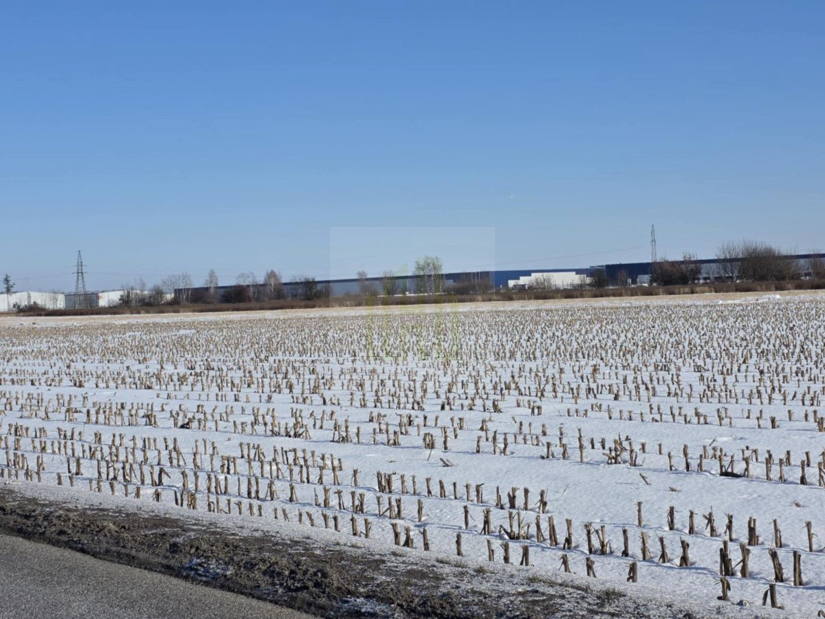 Działka inwestycyjna Błonie, ul. Sochaczewska. Zdjęcie 5