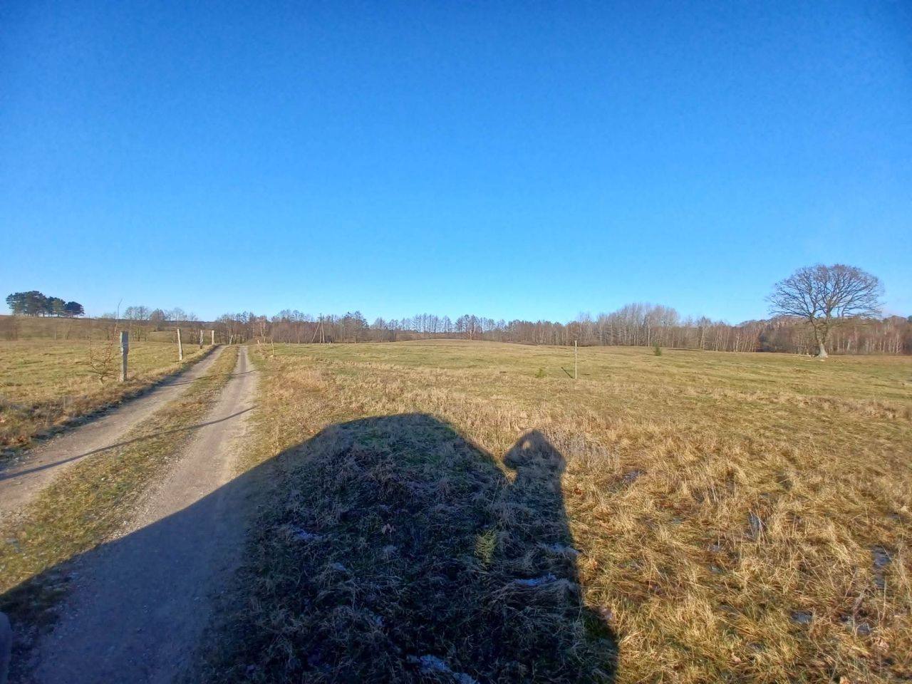 Działka budowlana Kołtki. Zdjęcie 9