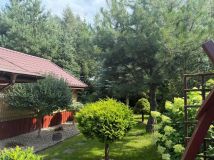 Działka rekreacyjna Borzymin. Zdjęcie 4