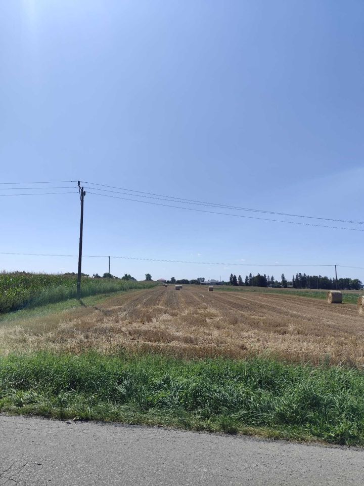Działka rolno-budowlana Stabrów. Zdjęcie 2