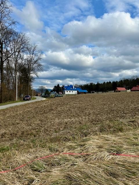 Działka budowlana Gbiska. Zdjęcie 10