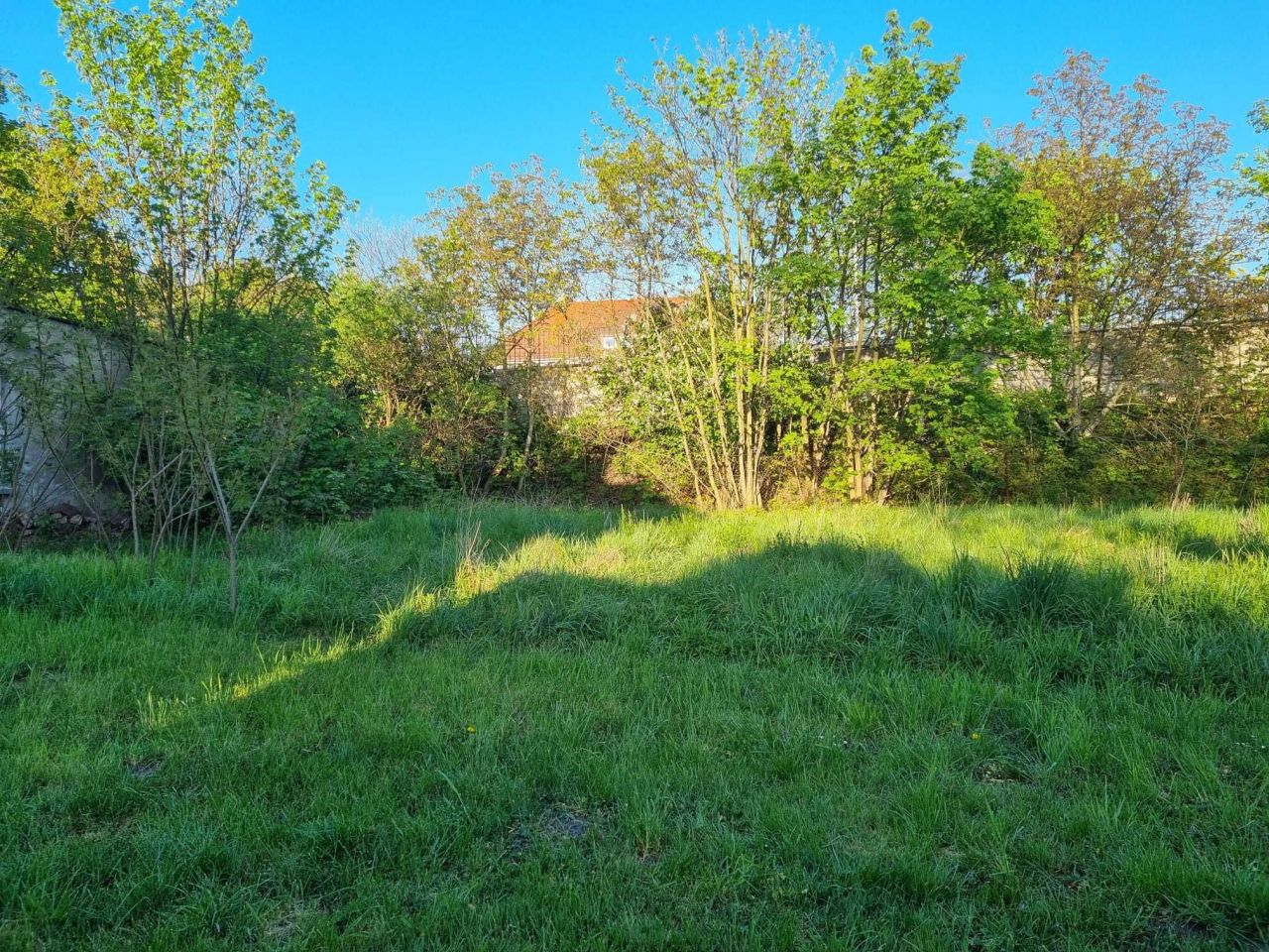 Działka budowlana Opole Czarnowąsy. Zdjęcie 5