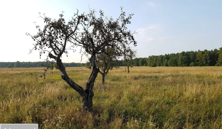 Działka budowlana Dobiesz