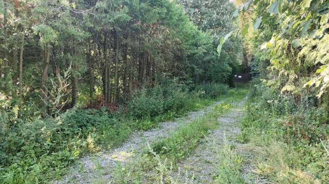 Działka rolno-budowlana Cieplice. Zdjęcie 16