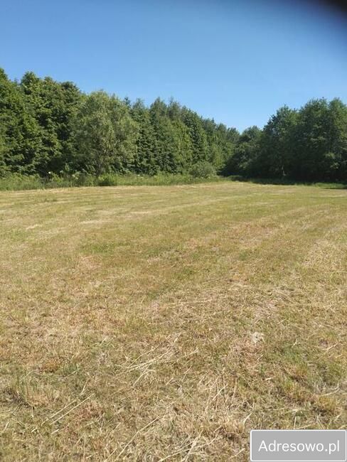 Działka rolno-budowlana Brudzeń Mały. Zdjęcie 5